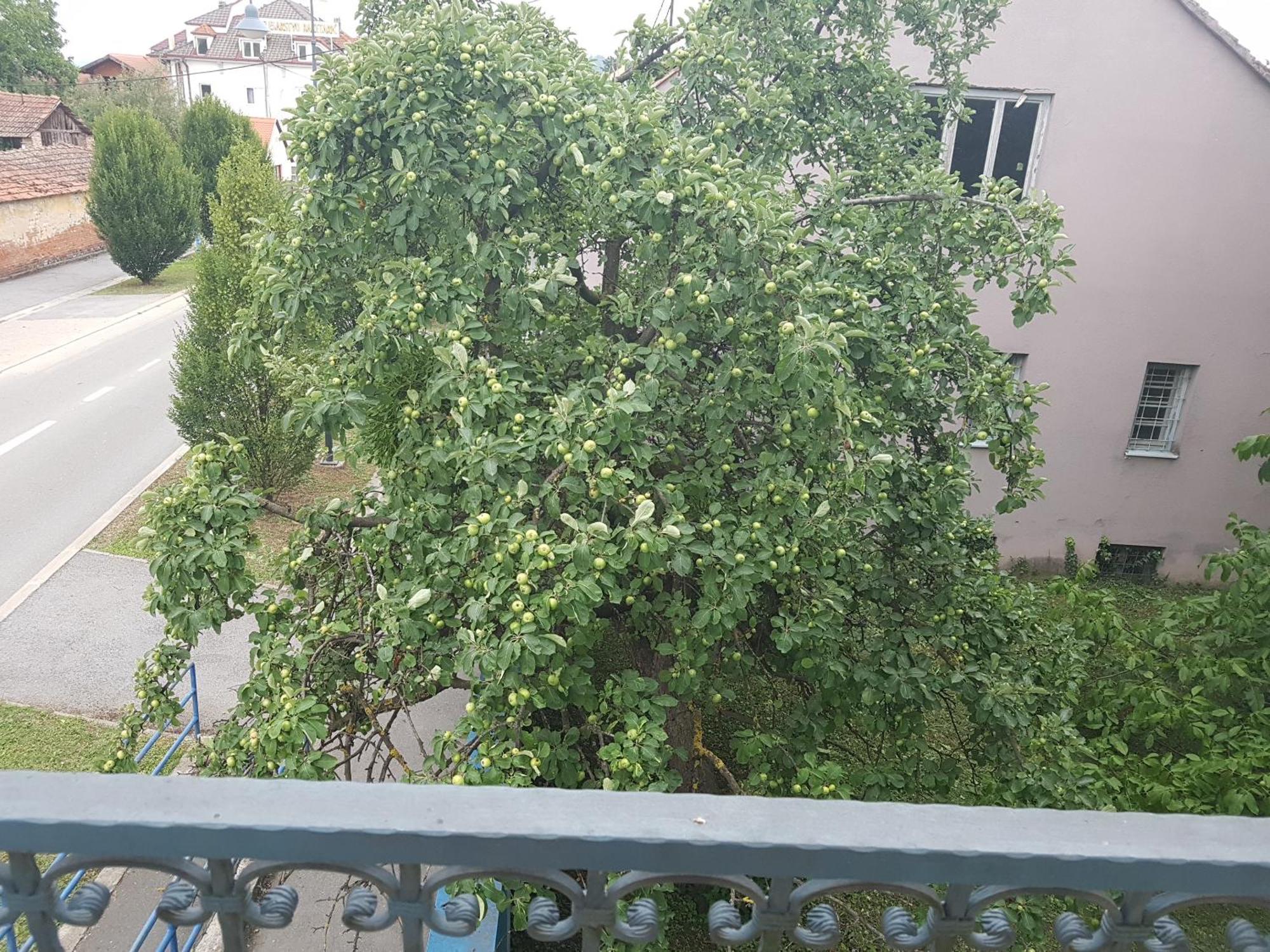 Prenociste Klas Pleternica Oda fotoğraf
